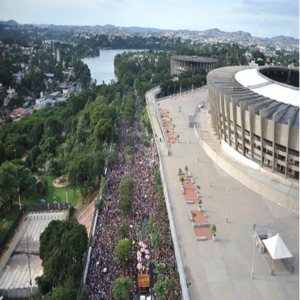 carna mineirao